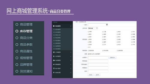 中小企业如何快速布局电子商务系统软件开发